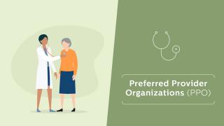 Medical Plan PPO Preferred Provider Organization